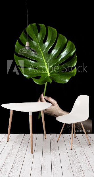 Picture of A person holding big leaf